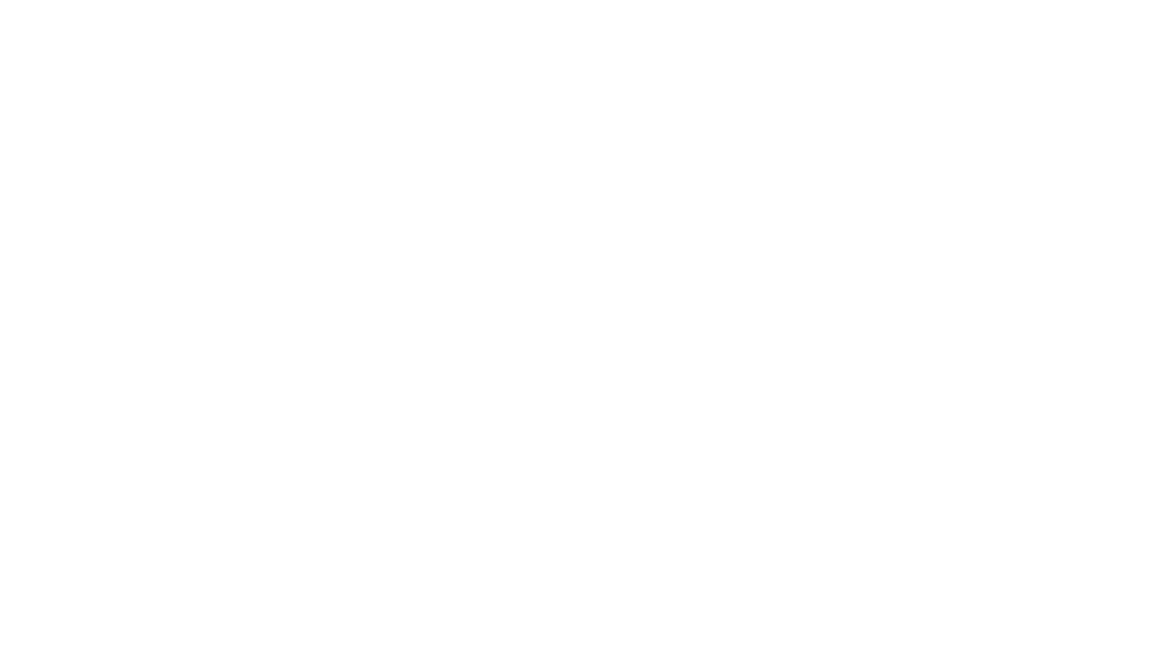 Patrick Schnelle Coaching 